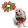Christmas & Halloween Pet Hat and Collar Set