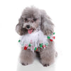 Christmas & Halloween Pet Hat and Collar Set