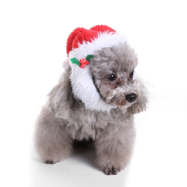 Christmas & Halloween Pet Hat and Collar Set