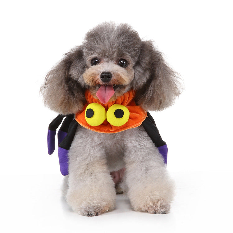 Christmas & Halloween Pet Hat and Collar Set
