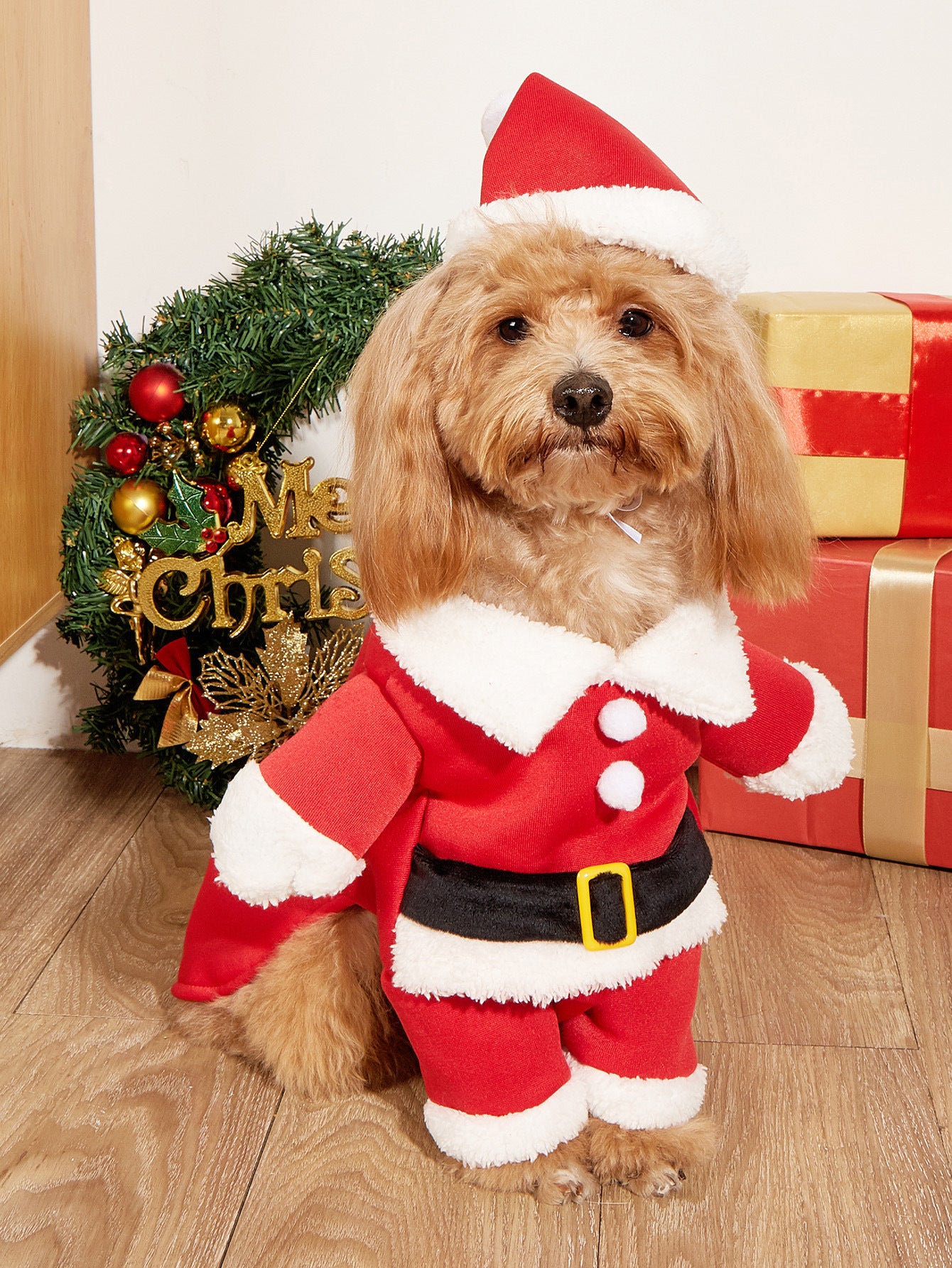 Christmas Dog & Cat Costume with Hat